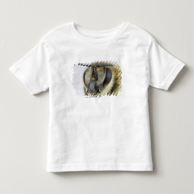 T-shirt Cabeça da abelha (Frente)