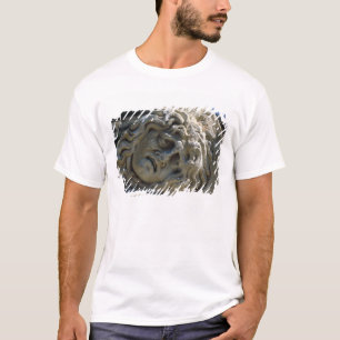 T-shirt Cabeça do Medusa