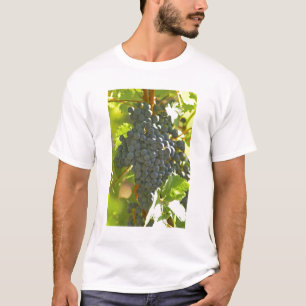 T-shirt cacho de uva Cabernet Sauvignon no Chateau