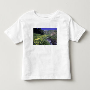 T-shirt Cachoeira e flores silvestres em prado alpino, 2