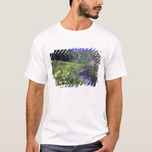 T-shirt Cachoeira e flores silvestres em prado alpino, 2