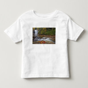 T-shirt Cachoeira Looking Glass no Parque Nacional Pisgah