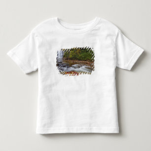 T-shirt Cachoeira Looking Glass no Pisgah National