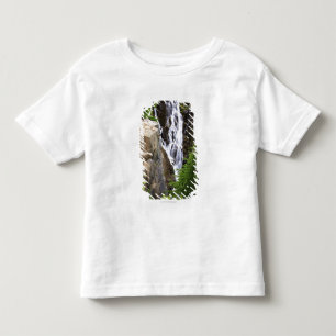 T-shirt Cachoeira no parque nacional de Monte Rainier