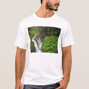 T-shirt Cachoeira Sol Duc no Parque Nacional Olímpico em 2