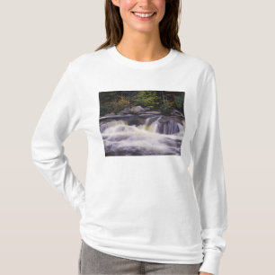 T-shirt Cachoeiras, Kancamagus Highway, Branco