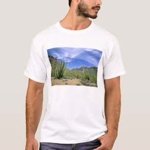 T-shirt Cacto do Deserto no Monumento Nacional do Organ Pi