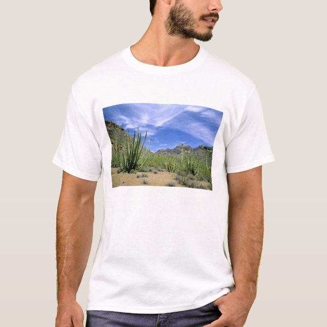 T-shirt Cacto do Deserto no Monumento Nacional do Organ Pi (Frente)