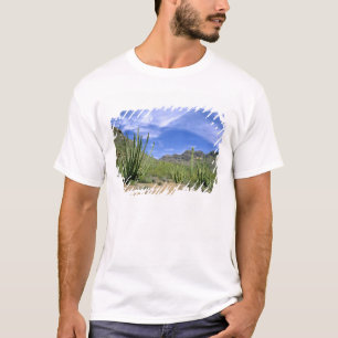 T-shirt Cacto do deserto no Monumento Nacional Organ Pipe,