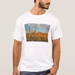T-shirt Cacto saguaro ao pôr do sol, Arizona