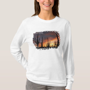 T-shirt cactos saguaro, Carnegiea gigantea, depois
