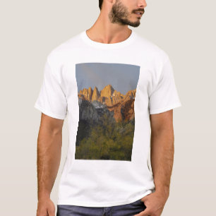 T-shirt Califórnia, Monte Whitney, Floresta Nacional de In