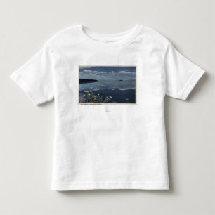 T-shirt CaliforniaView do mono lago na serra alta