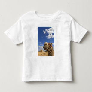 T-shirt Camelo em frente às pirâmides de Gizé, Egito,
