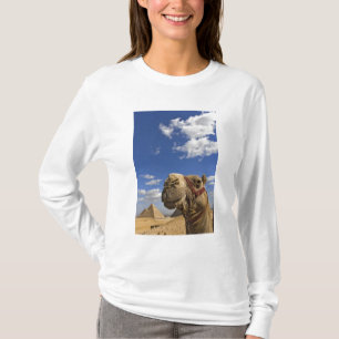 T-shirt Camelo em frente às pirâmides de Gizé, Egito,