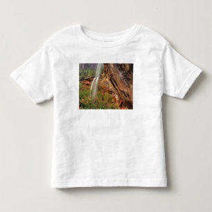 T-shirt Caminhando na Trilha Emerald Pools em Zion Nationa