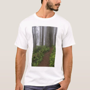 T-shirt Caminho através das árvores sequóias gigantes envo
