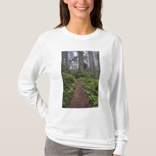T-shirt Caminho através das árvores sequóias gigantes envo