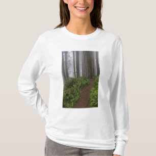 T-shirt Caminho através das árvores sequóias gigantes envo