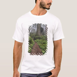 T-shirt Caminho através das árvores sequóias gigantes envo