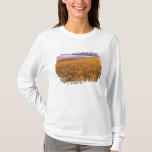 T-shirt Campo de cevada madura ao longo das Rochosas