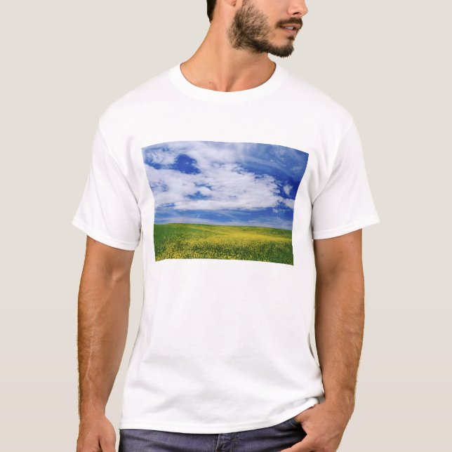 T-shirt Campo de flores de Canola ou Mostarda, Palouse (Frente)