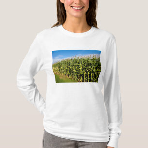 T-shirt campo de milho e céu
