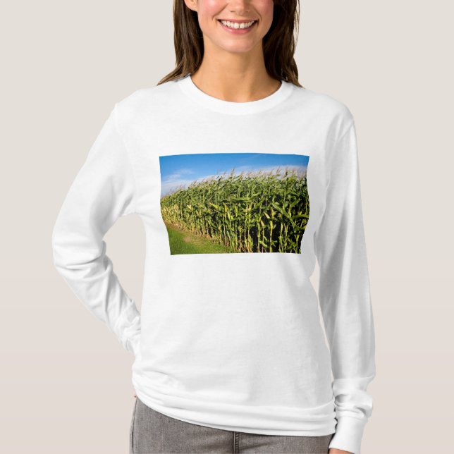 T-shirt campo de milho e céu (Frente)