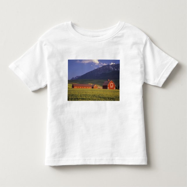 T-shirt Campo de trigo no vale de Wallowa, apenas fora (Frente)