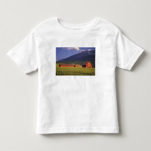T-shirt Campo de trigo no Vale de Wallowa, logo fora