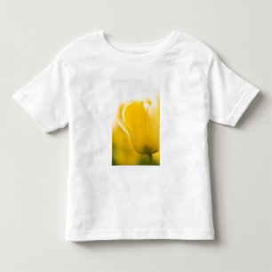 T-shirt Campos de tulipas de Mt. Vernon, Condado de Skagit