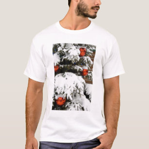 T-shirt Canadá, Alberta, Jasper, Jasper NP. Fairmont 2