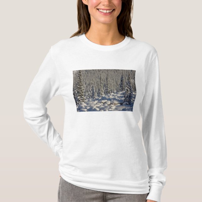 T-shirt Canadá, Alberta, Parque Nacional Jasper. (Frente)