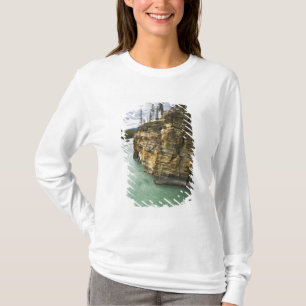 T-shirt Canadá, Alberta, Parque Nacional Jasper, Athabasca