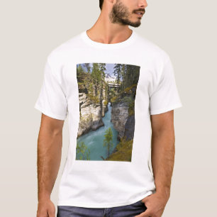 T-shirt Canadá, Alberta, Parque Nacional Jasper, Athabasca