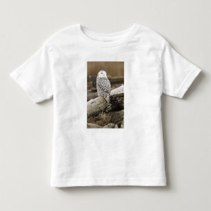 T-shirt Canadá, Baía Boundary, Coruja da Neve