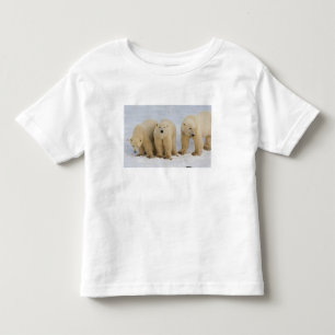 T-shirt Canadá, Baía de Hudson. Mãe ursa polar com dois