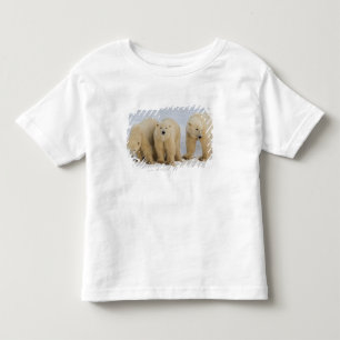 T-shirt Canadá, Baía de Hudson. Mãe ursa polar com dois