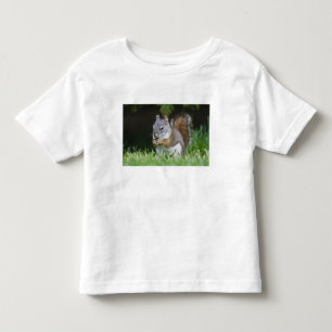T-shirt Canadá, Colúmbia Britânica, Esquilo Vermelho Pinhe
