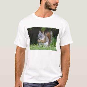 T-shirt Canadá, Colúmbia Britânica, Esquilo Vermelho Pinhe