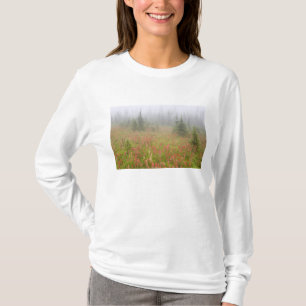 T-shirt Canadá, Colúmbia Britânica, Revelstoke Nacional
