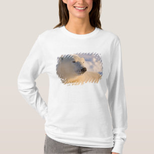 T-shirt Canadá, Manitoba, Baía de Hudson Urso Polar