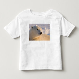 T-shirt Canadá, Manitoba, Baía de Hudson Urso Polar
