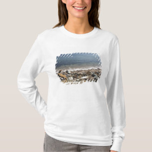 T-shirt Canadá, Quebec. Trem da VIA Rail Canada O