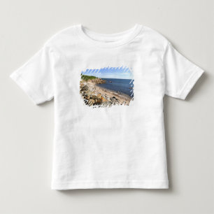 T-shirt Canadá, Quebec. Trem da VIA Rail Canada O 2