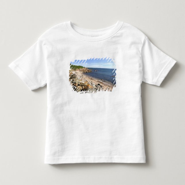 T-shirt Canadá, Quebec. Trem da VIA Rail Canada O 2 (Frente)