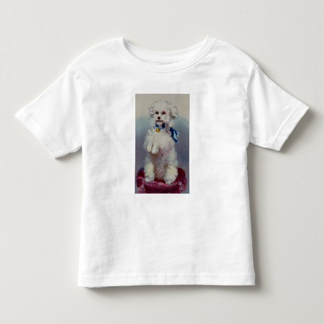 T-shirt Caniche com fita azul (Frente)