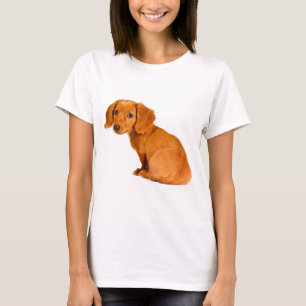 T-shirt Cão de filhote de cachorro bonito do Dachshund