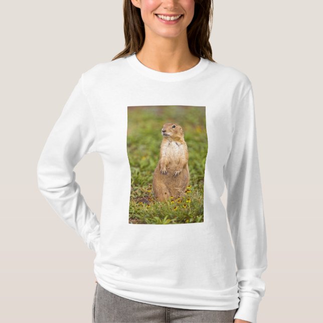 T-shirt Cão-de-pradaria-de-cauda-preta Cynomys (Frente)