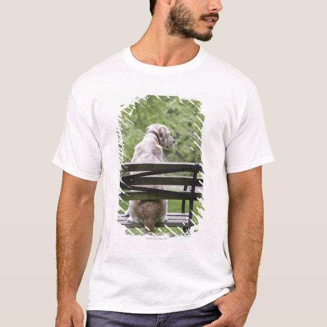 T-shirt Cão que senta-se no banco de parque (Frente)